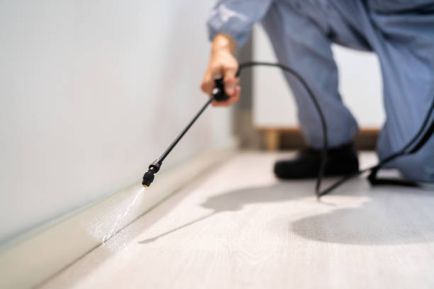 Licensed Pest Control service in Perezville, TX - Show Me Pest Control