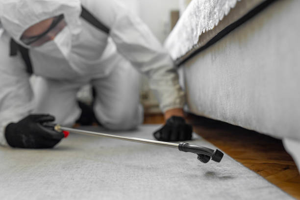Professional Ant Control technician working in Perezville, TX