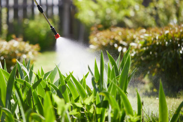 24/7 Emergency Ant Control experts in Perezville, TX