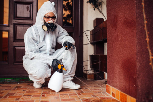 Reliable Ant Control contractor in Perezville, TX by Show Me Pest Control